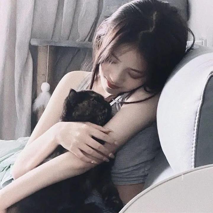 军犬麦克斯2:白宫英雄